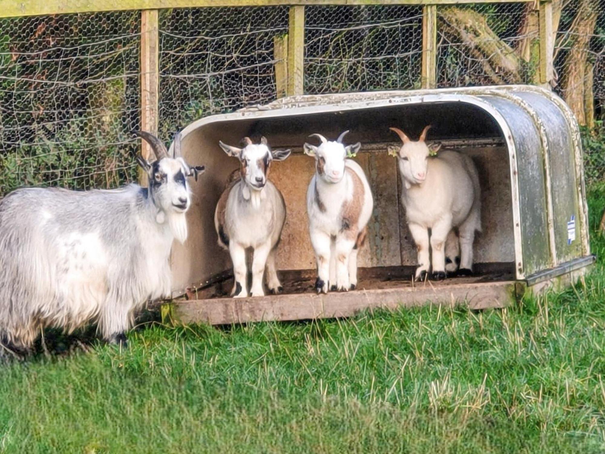 Bondcroft Farm Cottage Embsay Luaran gambar